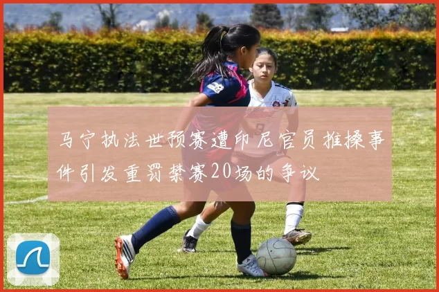 马宁执法世预赛遭印尼官员推搡事件引发重罚禁赛20场的争议